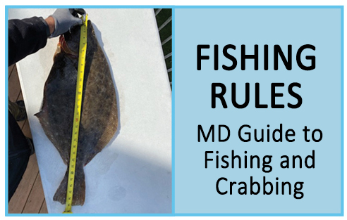 Fishing Rules and Regulations