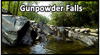 Gunpowder Falls