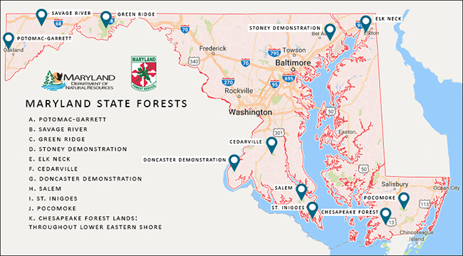Map of Maryland's forests. For more information call our Forestry Office at 410-260-8531
