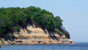 The cliffs at Calvert Cliffs State Park