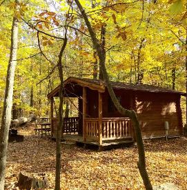 CFSP_Cabin.jpg