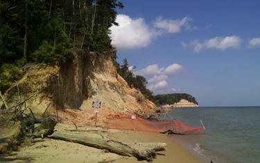 Calvert Cliffs State Park