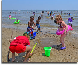 The beach at Hammerman