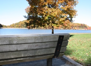 Fall bench at Greenbrier State Park