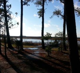 Janes Island State Park