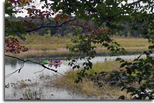 The Mattaponi at Merkle Wildlife Sanctuary.