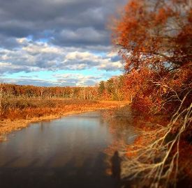 Mataponi Creek