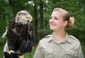 Rocky Gap State Park Eagle