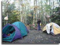 A campsite at Swallow Falls State Park