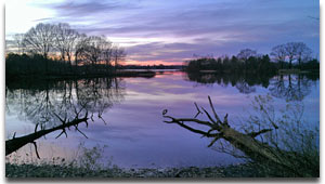 Wye Island near the Cross Island Trail
