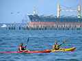 Photo of kayakers sharing water with cargo ship