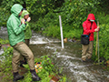 image of scientists conducting a stream study