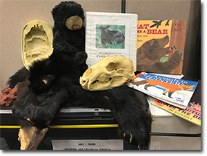 Black Bear Education Trunk Contents