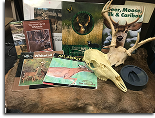White-tailed Deer Education Trunk contents